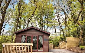 Woodland View -Hot Tub-Tenby-Carmarthen-St Clears